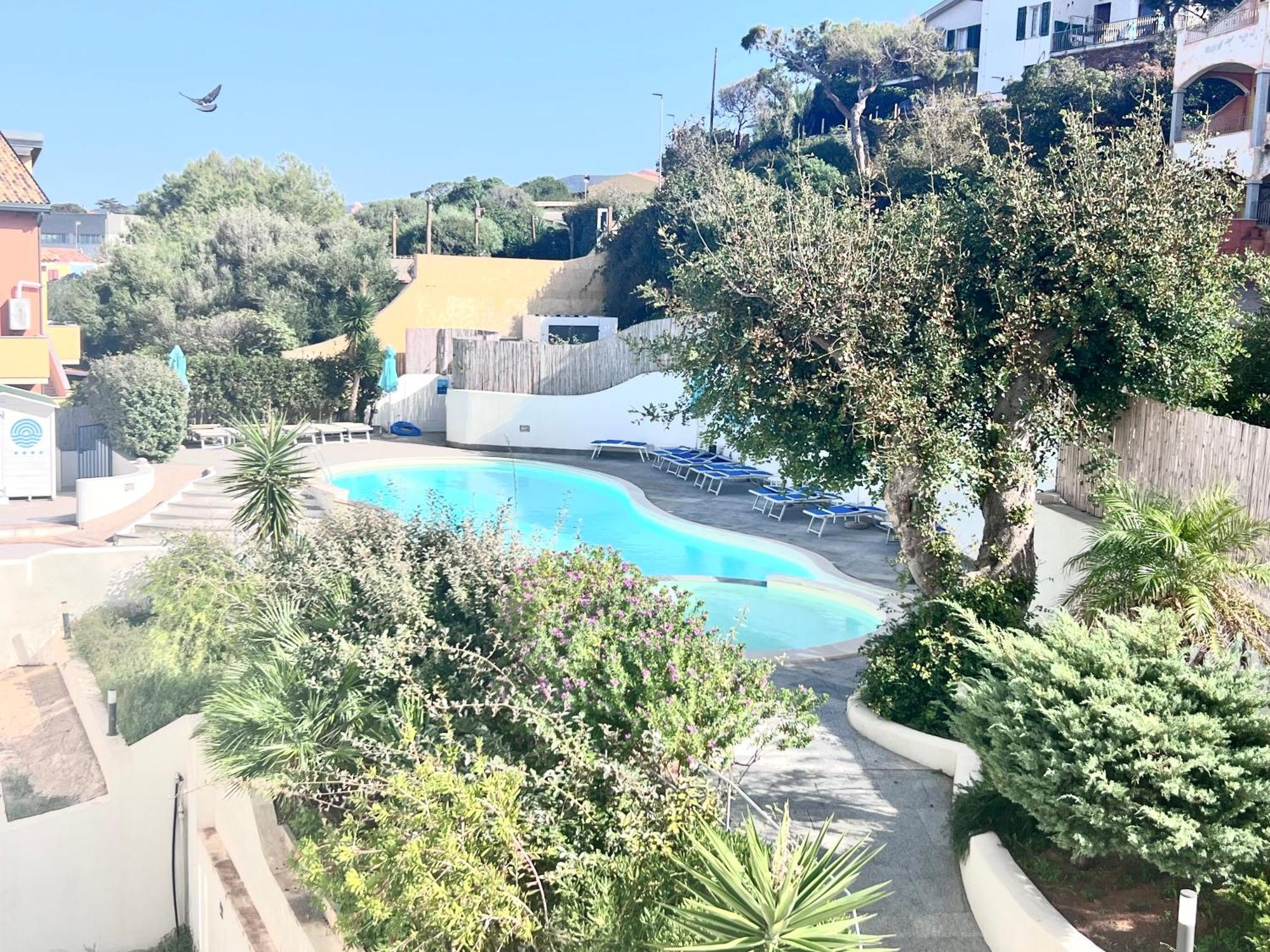 Western Blumarea Castelsardo